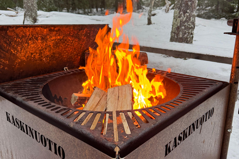Nuuksio National Park Snowshoe Hike with Lunch & Pickup
