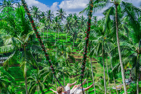 Ubud: Alas Harum Day-Pass med Swing, Sky Bike &amp; Flying FoxEntré + 1 Gunga + 1 Flying Fox/Skybike