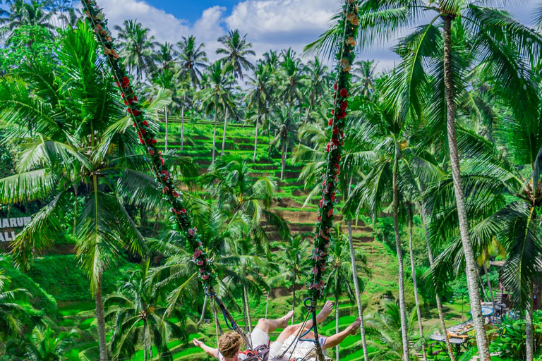 Ubud: Passaggio giornaliero Alas Harum con altalena, Sky Bike e Flying FoxIngresso + 1 Altalena + 1 Volpe Volante/Skybike