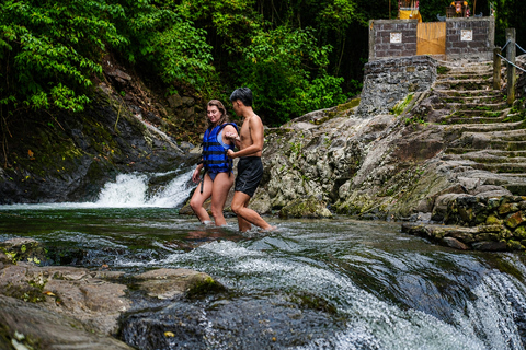 North Bali: Dolphin Swim, Snorkeling, & Waterfall Cliff Jump Small Group With Hotel Transfer Central Bali