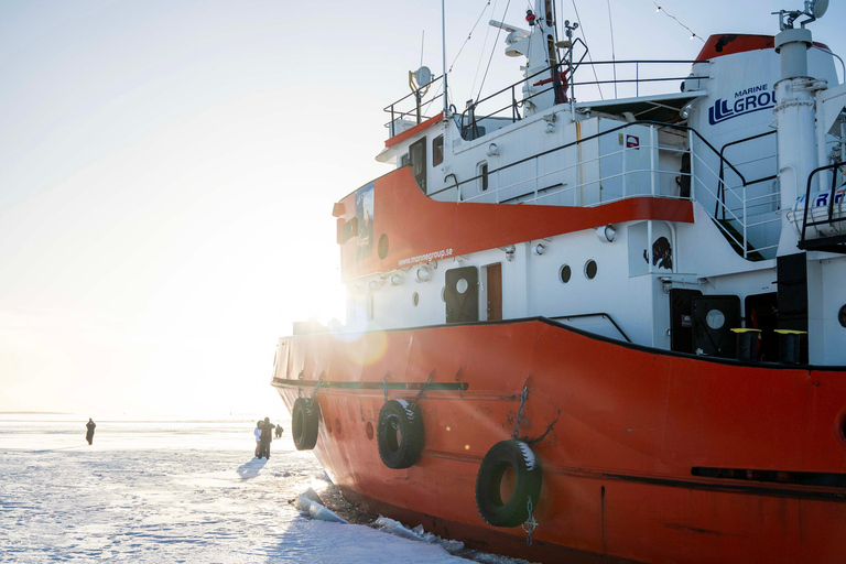 Icebreaker Cruise & Ice Floating Experience Own Transport