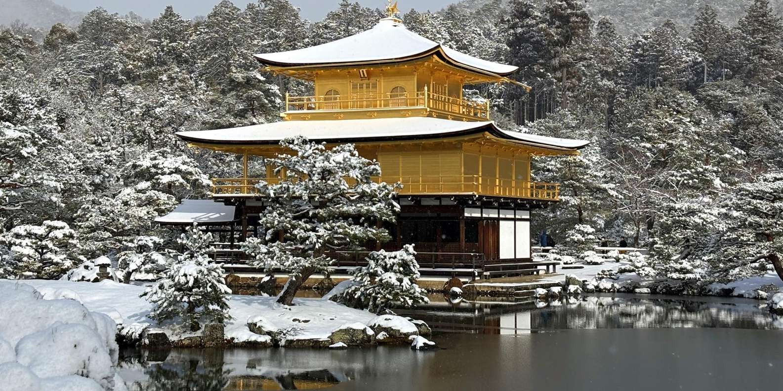 Kyoto: private Kinkaku-ji Temple Tour and Tea Ceremony
