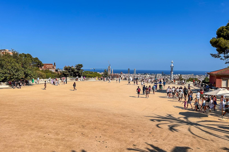 Barcelona: Park Güell Guided Tour with Skip the Line Ticket Spanish Tour