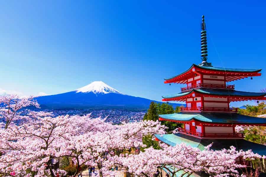 Tokio: Tour zum Fuji, Kawaguchiko-See, Pagode und Oishi-Park. Foto: GetYourGuide Tokio: Tour zum Fuji, Kawaguchiko-See, Pagode und Oishi-Park. Foto: GetYourGuide