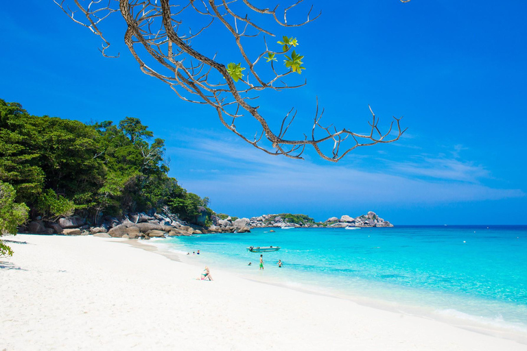 Von Phuket oder Khaolak: Schnorchel-Tagesausflug zu den Similan InselnTour ab Khaolak