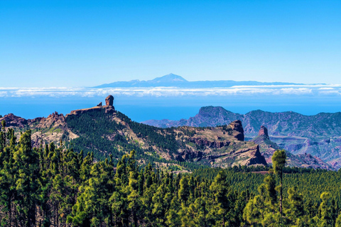 Best of Tenerife: Panoramic Shore Excursion with Port Pickup Shared Tour