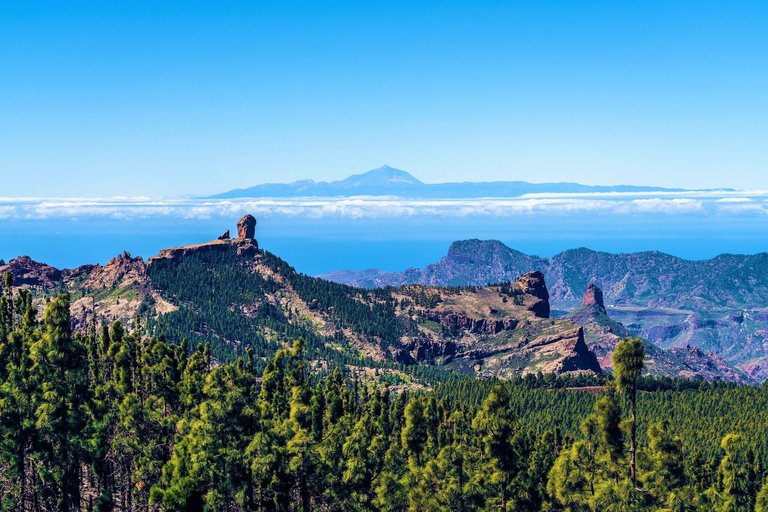 Best of Tenerife: Panoramic Shore Excursion with Port Pickup Shared Tour