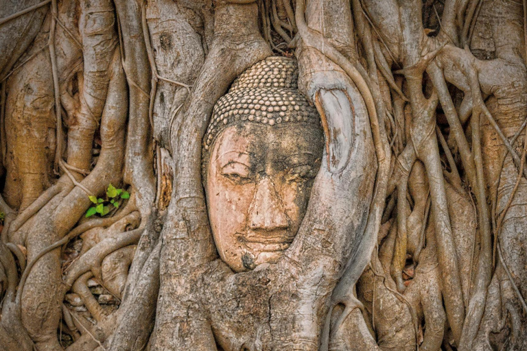 Pattaya : Excursion d&#039;une journée à Ayutthaya avec visite privée à bord d&#039;une longue queue