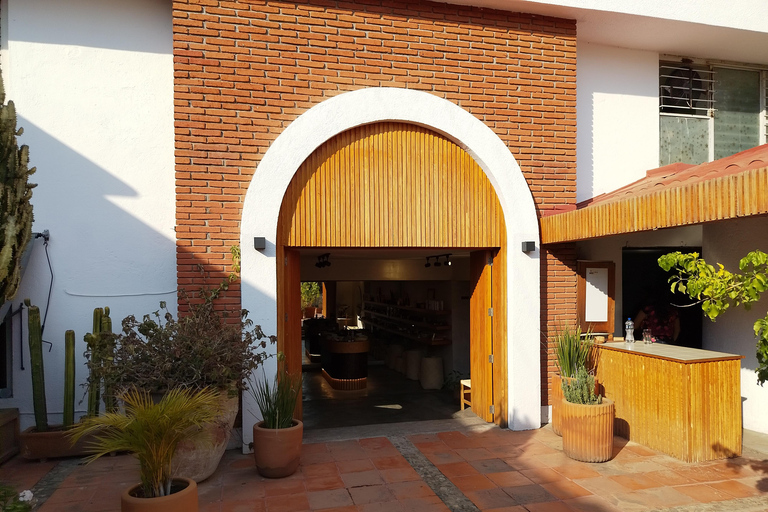 Oaxaca: Holistic Meditation