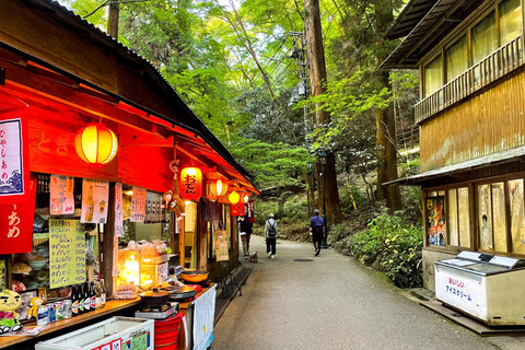 Osaka: Tour di un giorno di Minoh, Tempio di Katsuoji e Cascate di MinohOsaka: Tour di un giorno di Minoh, Tempio di Katsuoji e cascate di Minoh