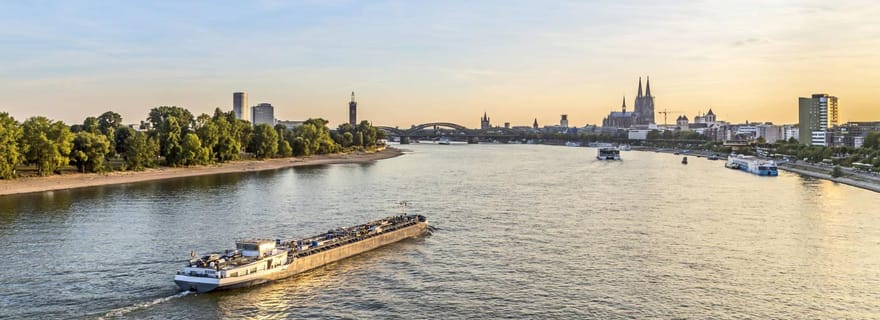 Depuis Francfort : Heidelberg, Rüdesheim et croisière sur le Rhin
