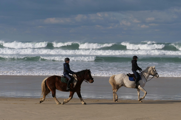 Fort Bragg: Coastal Horseback Ride on Ten Mile Beach