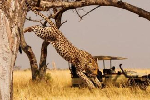 Wszystkie uroki Rwandy - 14-dniowa wycieczka po kraju