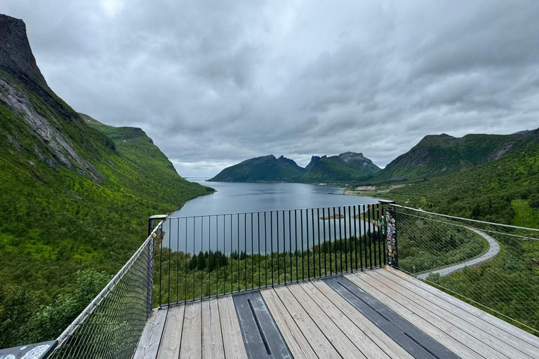 Tromso: SENJAtional: Sommaroy and Senja (7 people max) Tromso: One Day Trip to Senja