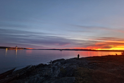 Oslo: Malmøya Island Guided Hike with Waffle and Drink