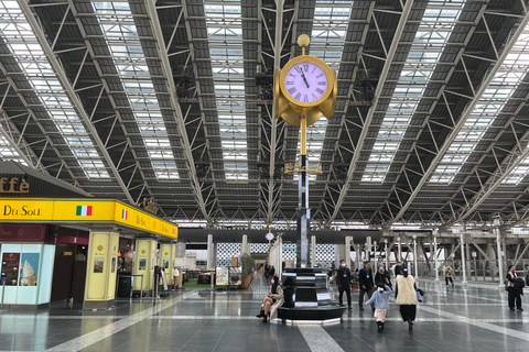 Himeji: Halve dag privétour met gids door het kasteel vanuit OsakaHalve dag tour met gids naar kasteel Himeji