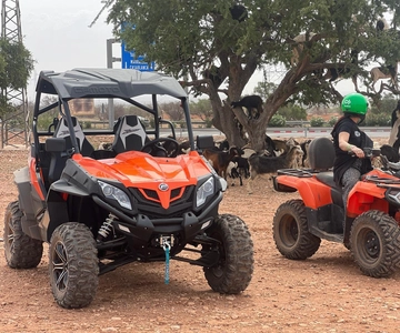 Agadir/Taghazout: Buggy, Goats in Argan Trees & Moroccan Tea