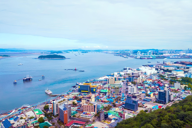 Seoul: Incheon Landing Operation & UN Forces Expert-Led Tour Incheon Landing Operation & UN Forces History (Private Tour)