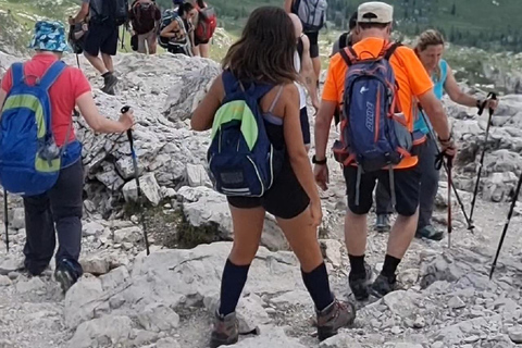 Venice: The Best of Dolomites 3Cime and Refuges with Drone