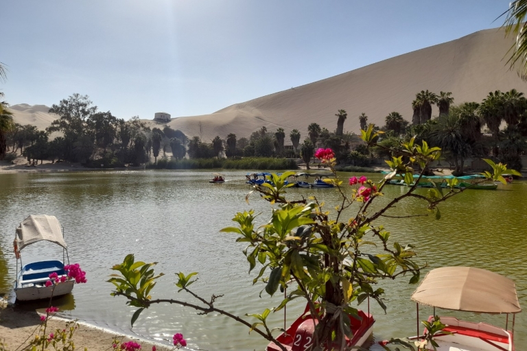 From Lima:Private tour to Paracas and Ica with all-inclusive