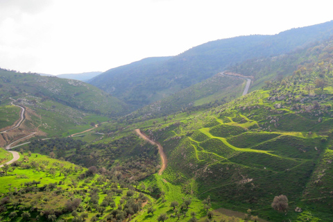 Van Amman: privé Jerash, kasteel Ajloun en Umm Qais-tourKasteel Jerash en Ajloun (rondleiding van 7 uur)