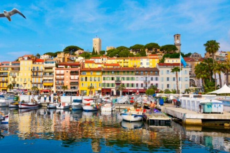 Visit Cannes/Grasse/St Paul de Vence by electric car Private guide in an electric car from Cannes/Grasse/St Paul de Vence!