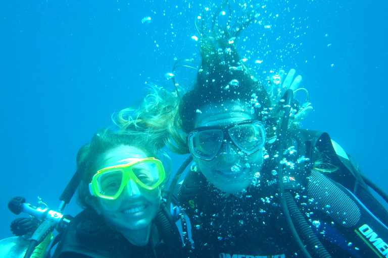 Nurkowanie w Paraty w Ocean Reefs – 45-minutowa wycieczka