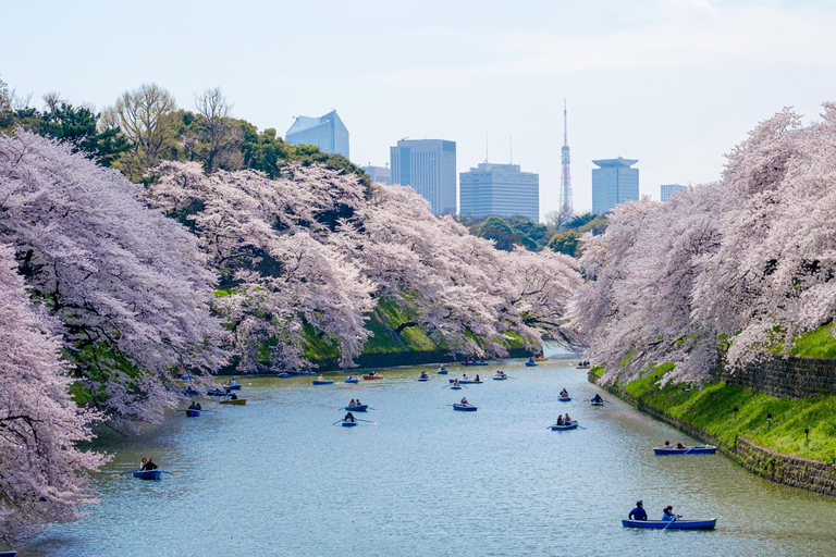 Tokyo War History Tour: Yasukuni Shrine & War Museum War & Remembrance Tour (3.5 Hours)