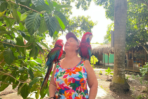 Puerto Plata City Tour: Historic Center & Countryside Ride