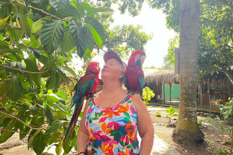 Puerto Plata City Tour: Historic Center & Countryside Ride