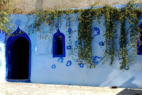 Au départ de Fès : Chefchaouen Excursion d&#039;une journée avec chauffeur pour un groupe de 8 personnes