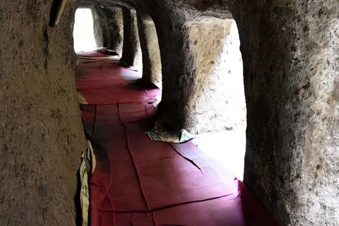 Adadi Mariam Church & Tiya Day Trip