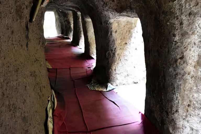 Adadi Mariam Church & Tiya Day Trip