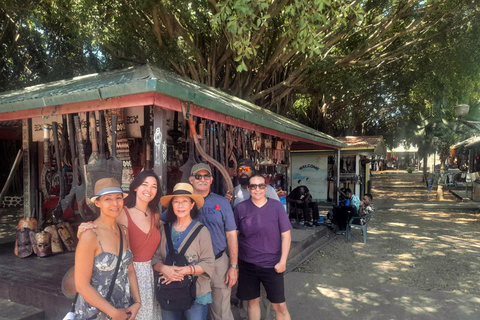 Nadi: Cultural Walking Tour - Markets, Temples & Local Life
