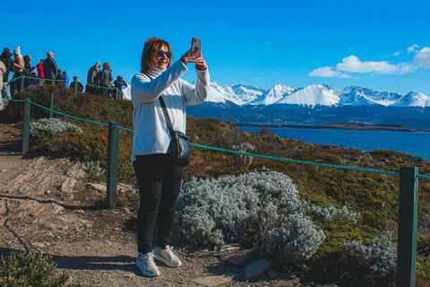 Ushuaia: Boat Trip to Isla Martillo: Penguins in the Beagle Channel Ushuaia: Navigation to Martillo Island: Penguins along the Beagle Channel
