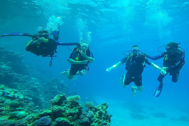 From Sharm: Luxury Diving cruise to Ras Mohammed with Lunch 1 professional dive with pickup and lunch