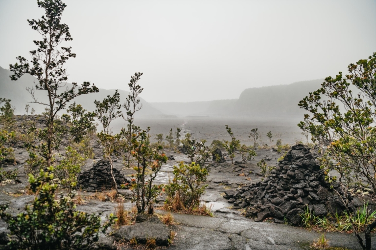 Big Island: groupe du parc national des volcans ou randonnée privéeVisite de groupe