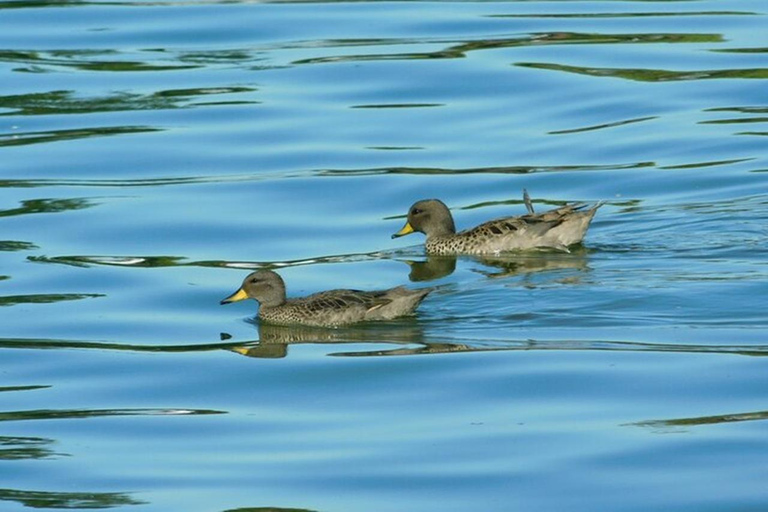 Discover nature at Buenos Aires city “The Palermo Woods”