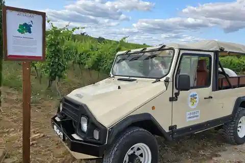 Tavira, Santa Luzia e Prova de Vinhos