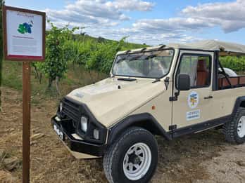 Tavira, Santa Luzia et dégustation de vins