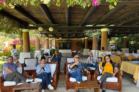 From Lima: Peruvian Paso Horse Show with Lunch and Traditional Dances From Lima, a Peruvian Paso Horse Show with lunch and traditional dances