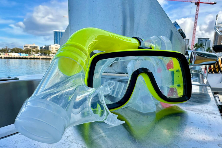 مغامرة الغوص مع سلحفاة وايكيكي