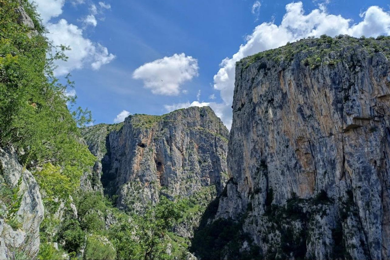 Från Berat: Osumi Canyon, Bogova Waterfall och Pirro Goshi...