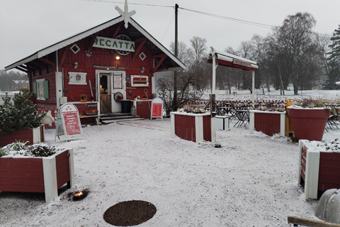 Helsinki: City Highlights, Fortress Island & Floating Sauna