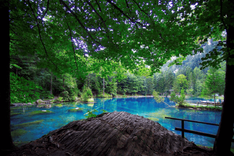 Zúrich: excursión de un día a Lungern, Brienz, Thun, Blausee y Oeschinen.Zurich: excursión de un día a Lungern, Brienz, Thun, Blausee y Oeschinen