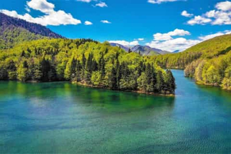 Montenegro: Biogradska Gora National Park Day Trip