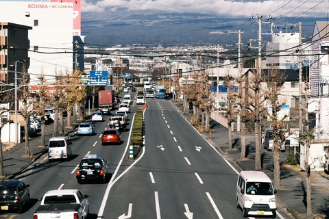 From Tokyo: Mount Fuji Full Day Customizable Private Tour