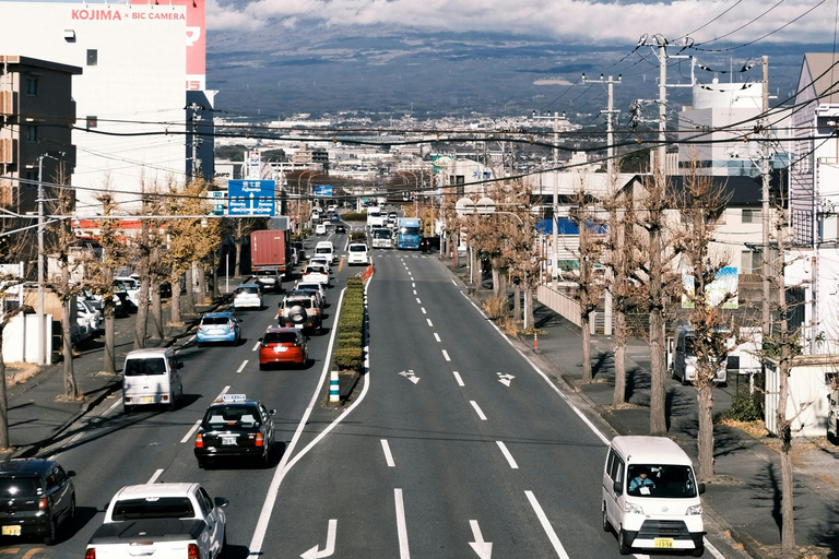 From Tokyo: Mount Fuji Full Day Customizable Private Tour