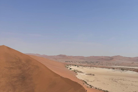From Windhoek & Swakop: Namib Desert 2-Night Tour with Meals