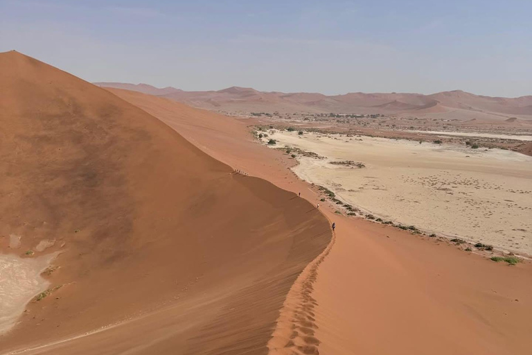 From Windhoek & Swakop: Namib Desert 2-Night Tour with Meals